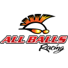 ALL BALLS RACING